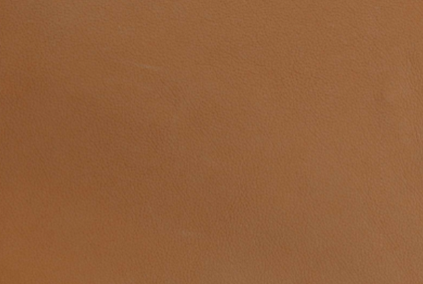 32004-Pumpkin Orange